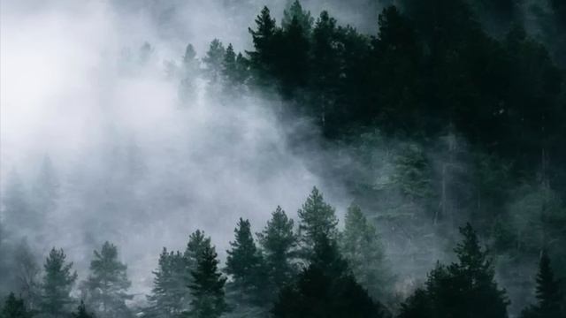 a cozy twilight playlist for studying, writing and reading