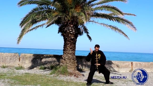 Chen shi taijiquan 18 forms / Чэнь ши тайцзицюань 18 форм смотреть онлайн