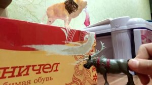 Прайд львов мультик Король лев ?