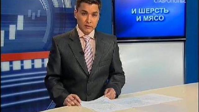 Ставропольские селекционеры вывели пять пород тонкорунных ов