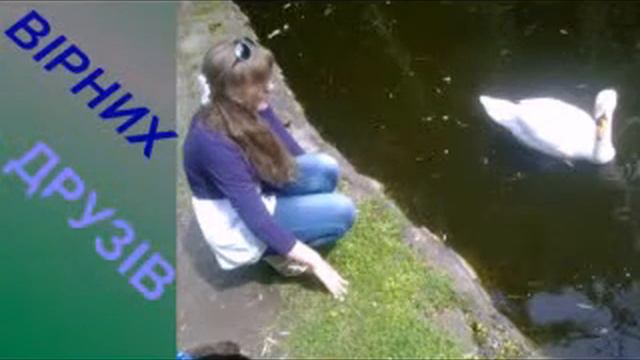 ВІТАЮ СЕРДЕНЬКО!!!!!.mp4 смотреть онлайн