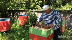 Снимаем магазины с ульев/пчелы/качка меда