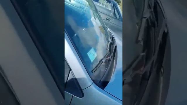 Осмотр машины полный осмотр на Авито