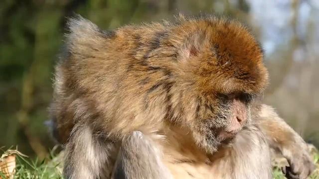 Расслабляющее видео с приятной музыкой для сна и медитации. Вы заснете через 3 минуты смотреть онлайн