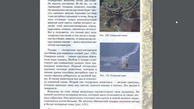География 8к 26§ Безлесные природные зоны Арктики и Субарктики.