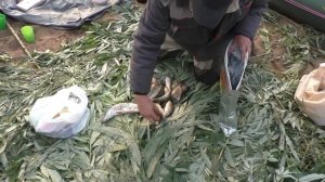 Сплав по реке Кия