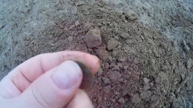 Металопоиск. Коп на поле у деревни.
