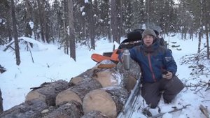 -30 | Трое живы! Четвёртый ТОЖЕ! | Пурга одна | В Тайге в палатке! Спасение Пурги и Щенков в тайге!