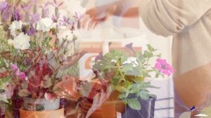 Decorating home with plants ?ㅣSimpe Home InteriorㅣEncouragementㅣMotivationanal Vlog