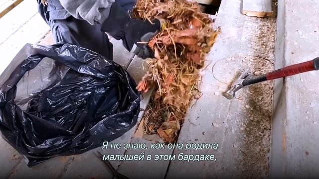 Мужчина разобрал веранду и нашел под ней самый милый сюрприз в своей жизни смотреть онлайн