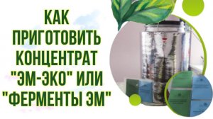 Загрузка реактора Кумицкого. С Кумицким Олегом Петровичем.