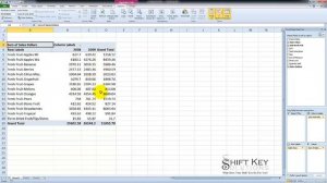 Excel 2010 Changing the Value Summary in PivotTable Data Exercise 7 part 3