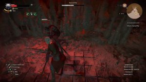 ОСВОБОДИЛИ РЕЙНАЛЬД ОТ 300-Х ЛЕТНЕГО ЗАТОЧЕНИЕ С КРАСНЫМ МОРОМ В ТЕЛЕ ПРОХОЖДЕНИЯ THE WITCHER 3 # 3