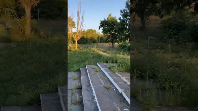 Шахты-Аюта, все заросло в Ростовской области благоприятная среда для травы