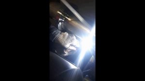 Сварка аргоном с поддувом (неповоротный стык)