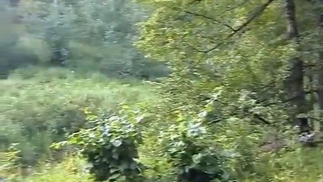 The River Flows 0 14 смотреть онлайн