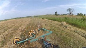 Сгребаю эспарцет на мини-тракторе. Эспарцет пришлось досушивать
