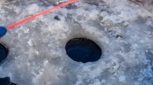 Окунь на ведьму