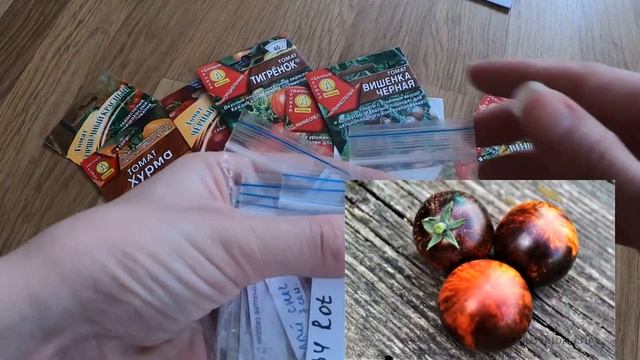 СЕМЕНА ТОМАТОВ ? НА СЕЗОН 2021?| ОТ КОЛЛЕКЦИОНЕРА