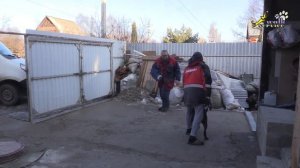Ротвейлеры защита, второе занятие, собака для охраны