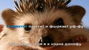 КАРАОКЕ ДЛЯ ДЕТЕЙ ? ? Маленький ёжик четверо ножек