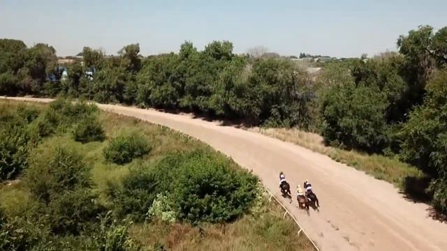 Скачка № 5 Приз «Пробный». Группа 3 2020 06 13 05 смотреть онлайн