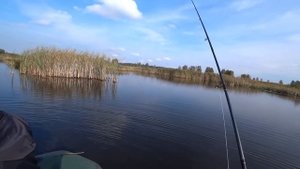 ЖОР ЩУКИ осенью! Твичинг воблеров в октябре на мелководье 2020