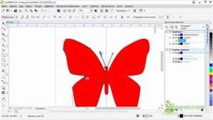 Инструмент перо pen. Рисование CorelDraw Бабочка butterfly. Урок 09.5