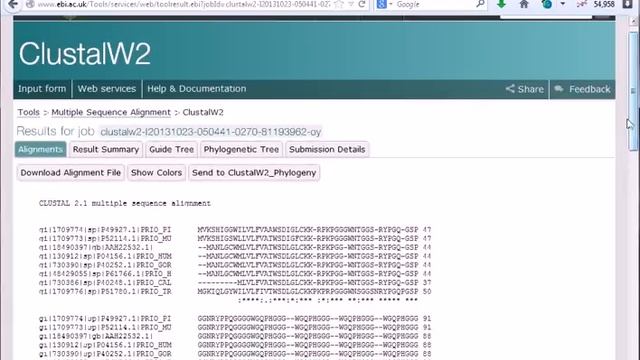 Bioinformatics practical 4 multiple sequence alignment using ClustalW ...
