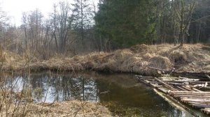Исчезнувшая деревня Лазинка и заколдованный Дашкин луг на реке Сенна Abandoned village