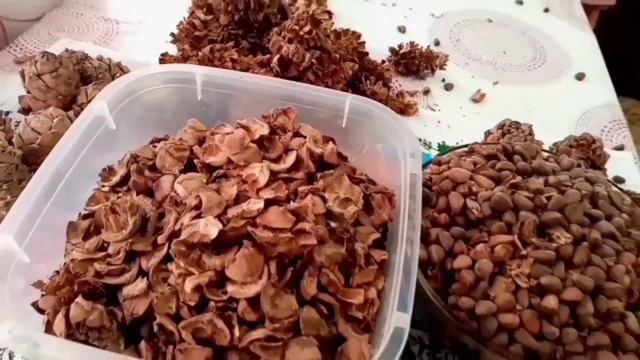 Орехи. Вред и польза. ?