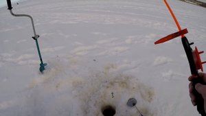 Параниха. Последний день зимы 28.02.2021. Рыбалка в черте города Северодвинска.