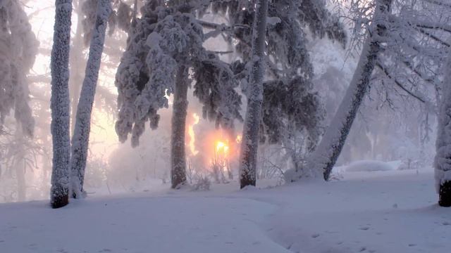 ЗИМА, СНЕГ.ЛЮБОВЬ.МЕТЕЛЬ МЕТЕТ! Это Потрясающая, Невероятно Красивая музыка для души.Merry Christma смотреть онлайн