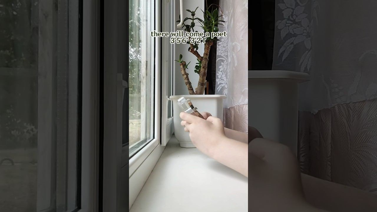 The Oh Hellos - Soldier, poet, king #kalimba #табы #разбор #cover ✨ЗАКАЗАТЬ КАЛИМБУ - В ОПИСАНИИ смотреть онлайн