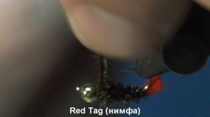 Red Tag (нимфа)