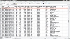 Фильтры в электронных таблицах (LibreOffice Calc)