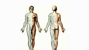 прессотерапия!