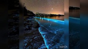 Молитва первого шага