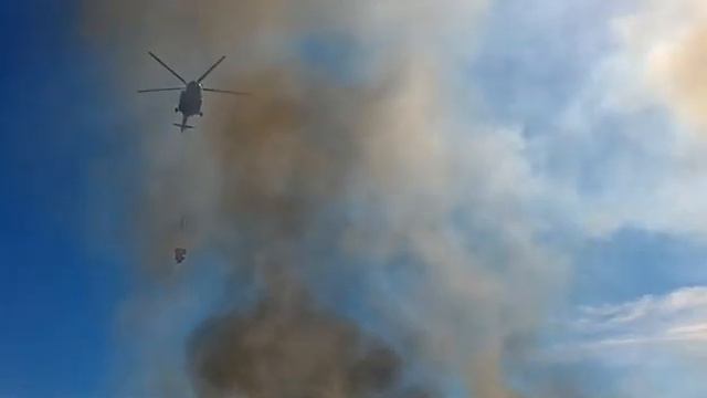 Пожар в поселке Зеленый Бор тушат с привлечением авиатехники, 5.06.2017 смотреть онлайн