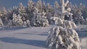 "ЗИМНИЙ САД"   (Елена Скороходова - Дуэт "РАПСОДИЯ")