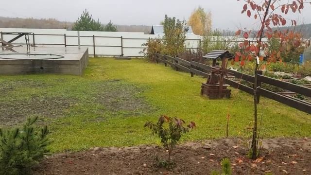 САД своими руками : НОВАЯ КОМПОЗИЦИЯ из кустарников. смотреть онлайн