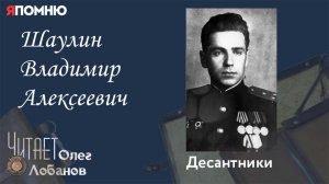 Шаулин Владимир Алексеевич. Проект "Я помню" Артема Драбкина. Десантники.