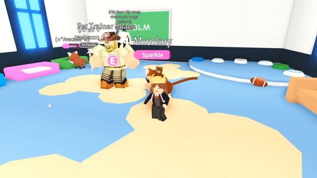 How to become *RICH* in Adopt Me смотреть онлайн