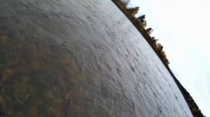 Ловля хариуса ?. Осенняя рыбалка ?