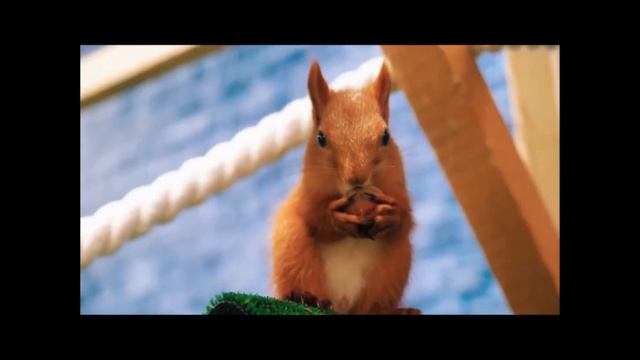 Е. Верейская "Бабушкин колобок" смотреть онлайн