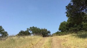 Bogush-TV, выпуск 1 "Когда правильнее планировать - утром или вечером?"