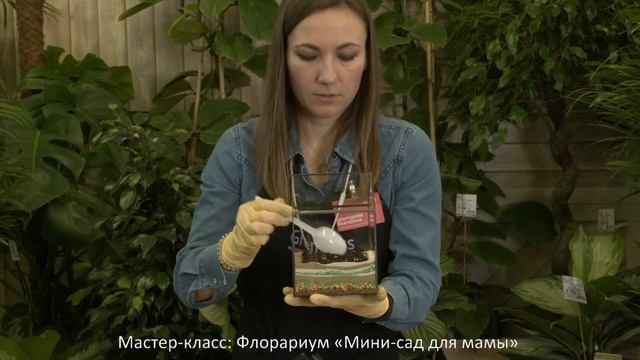 Мастер-класс : флорариум "Мини-сад для мамы"