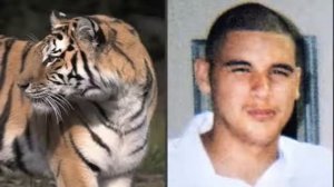 Хишники Атакуют.Берегись!!!