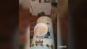 Веялка своими руками