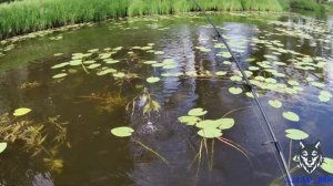 оз.Шибаево. Клепиково р. Курья.